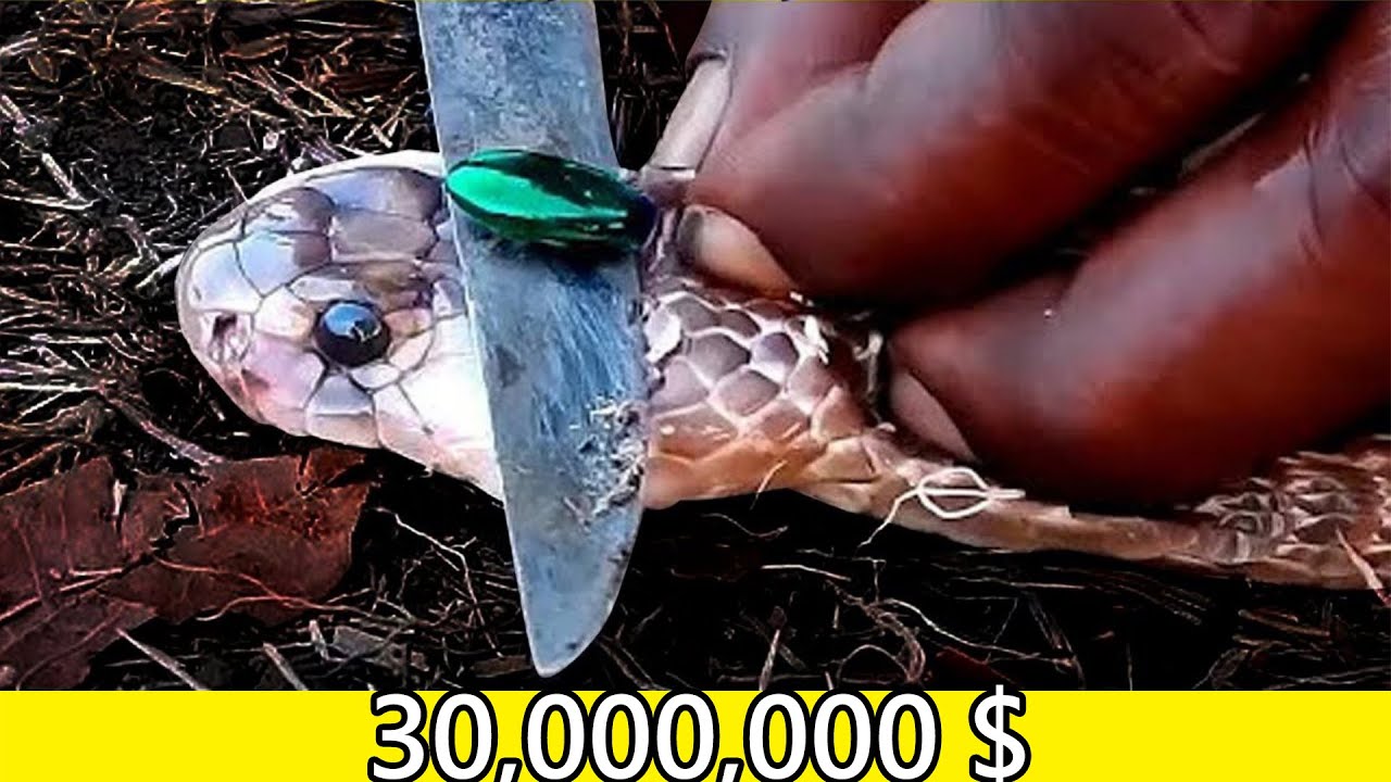 هر کس این سنگ رو پیدا کنه میلیونر میشه