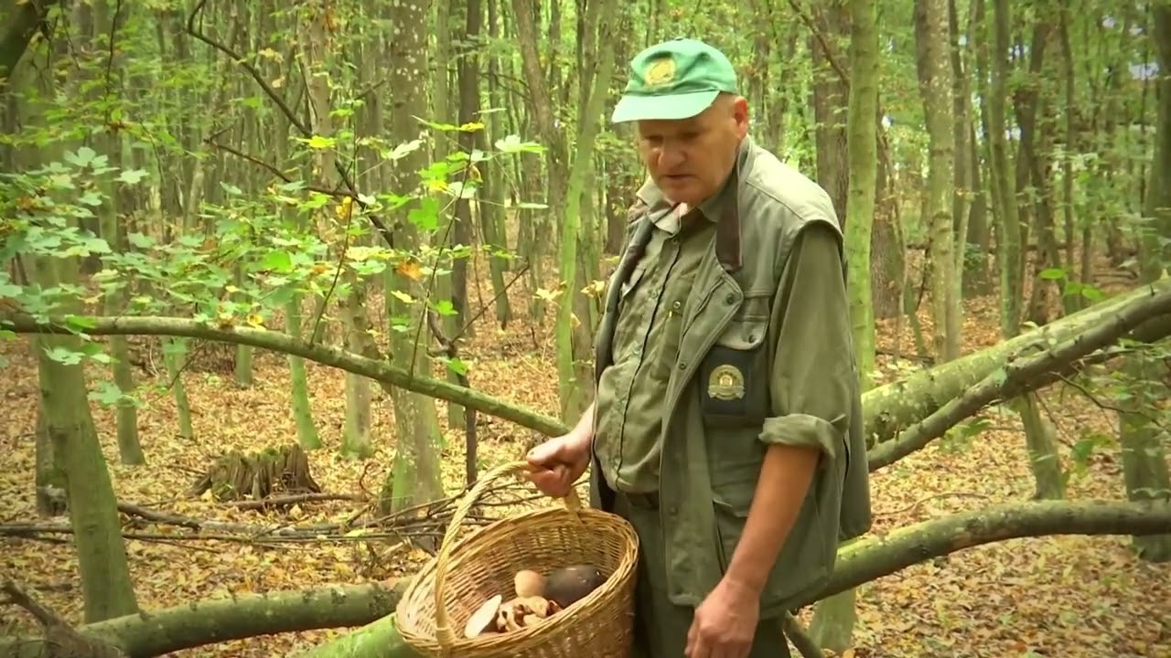 U tuđim cipelama -  Marin Đurđević lugar i gljivar