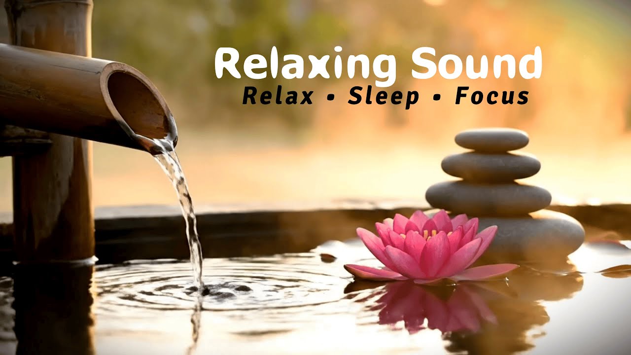 (10H)  Water Drop Sounds for Deep Sleep & Calm Mind | Meditation, Study & Night Relaxation