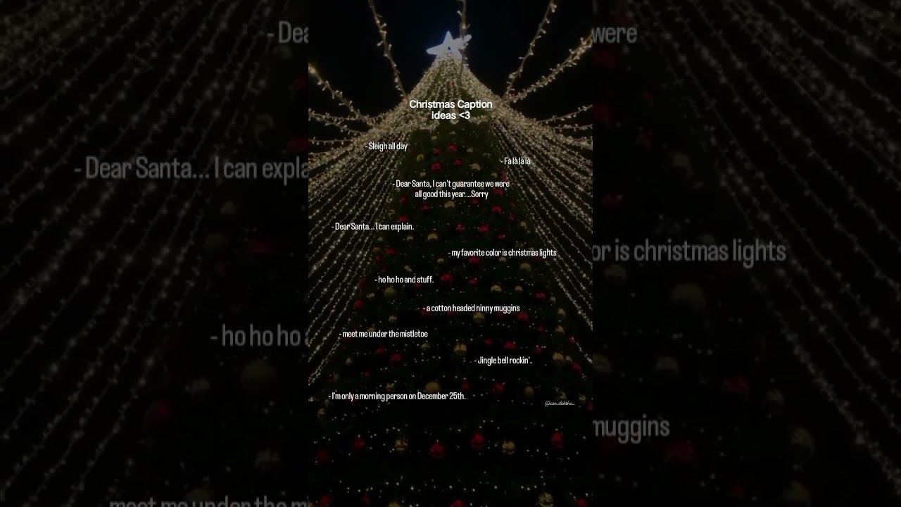 Christmas Caption ideas🎄