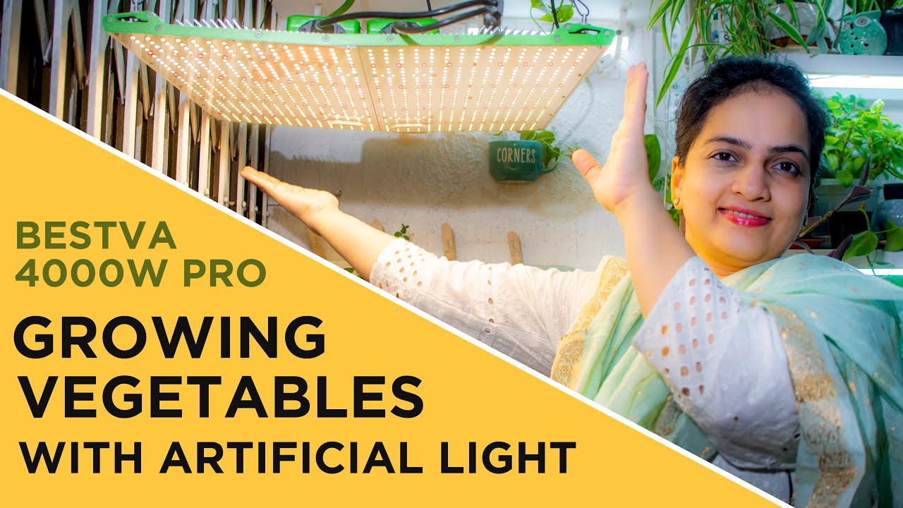 Growing Vegetables indoors using Grow Lights | Bestva Pro 4000W | Indoor Vegetable Gardening