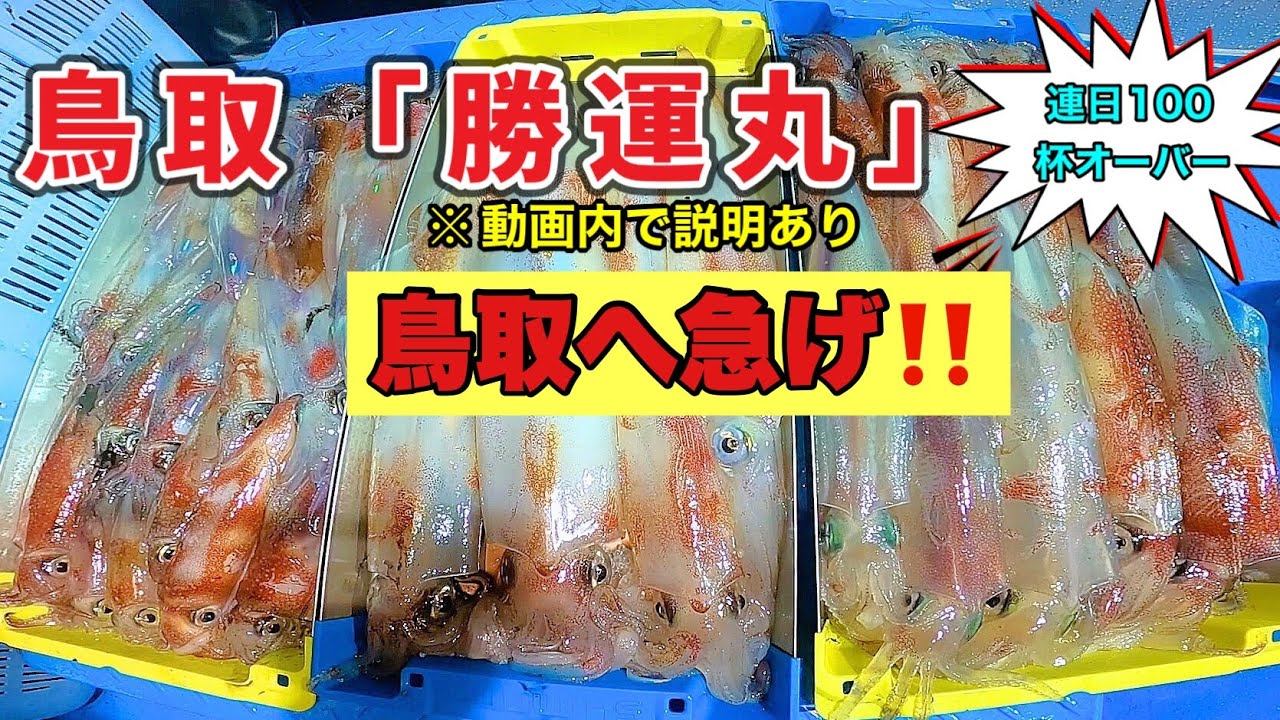 【オモリグ、イカメタル】鳥取の海を知り尽くした勝運丸船長が釣り案内
