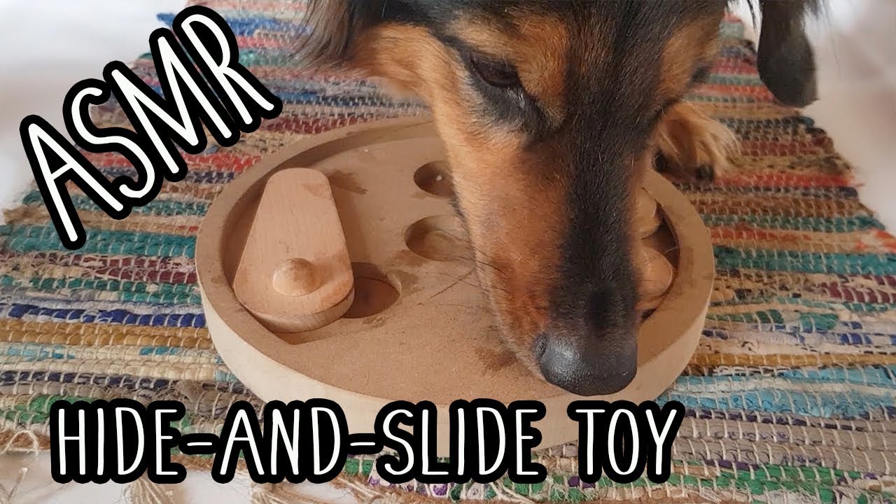 [ASMR] DOG EATING and SNIFFING SOUNDS | Hide-and-slide toy | #FidoTheDog -No talk-