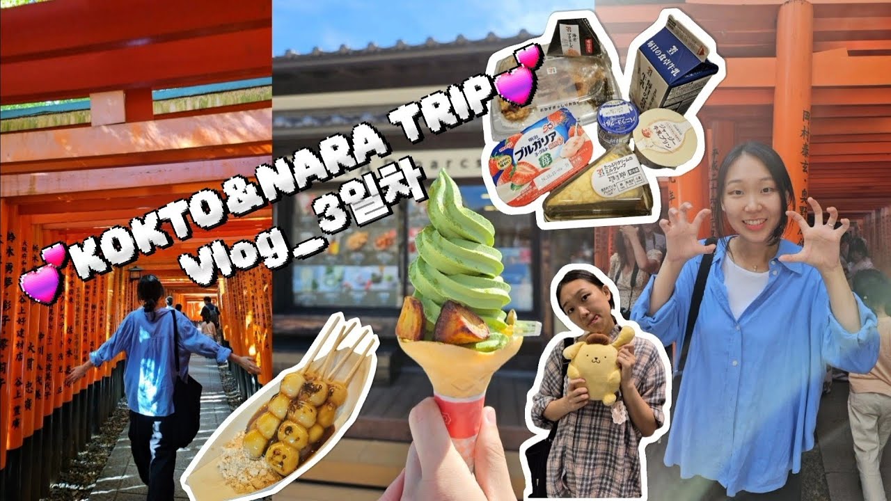 교토,나라 여행 vlog_3일차(feat.투어여행,나라사슴공원,동대사,당고)