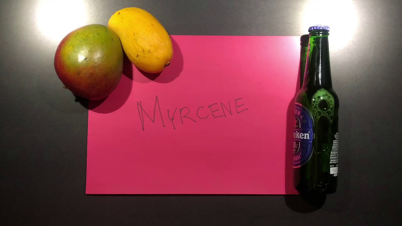 Myrcene Terpene in Hops and Mango