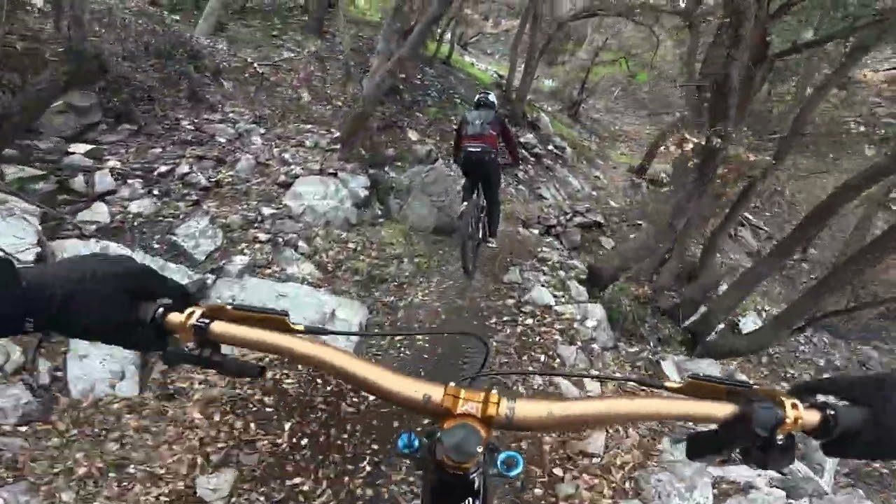 2/14/25 , Mr wilson,  sunset  ridge, horse trail  
