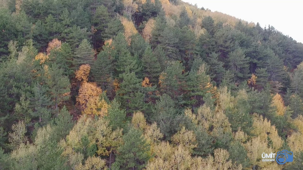 Karagöl Tabiat Parkı Çubuk Ankara