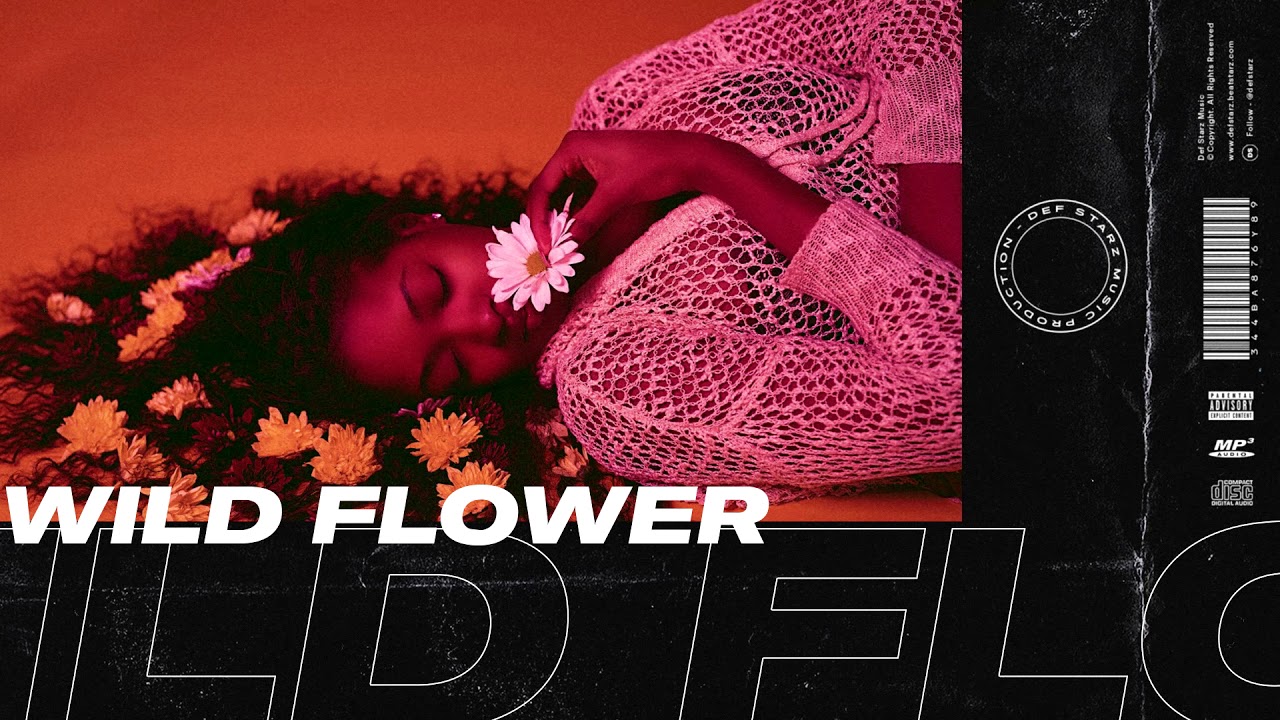 GoldLink Type Beat - Wild Flower | Lo-Fi Instrumental