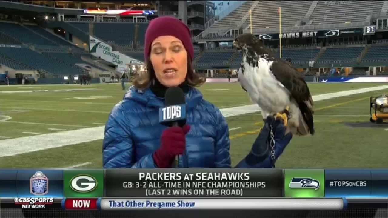 NFC Championship game preview w/Taima the hawk