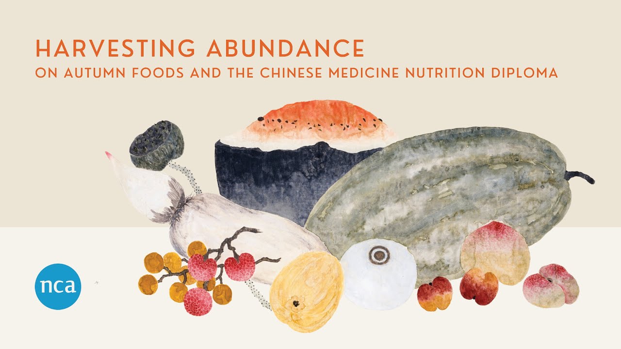 'Harvesting Abundance' | Open Event Introduction to the NCA Chinese Medicine Nutrition Diploma
