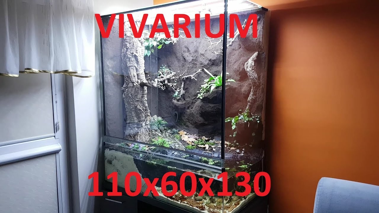 #55  BUDOWA DUŻEGO VIVARIUM- projekt 110x60x130 #terrarystyka #terrarium #vivarium #płazy #gady