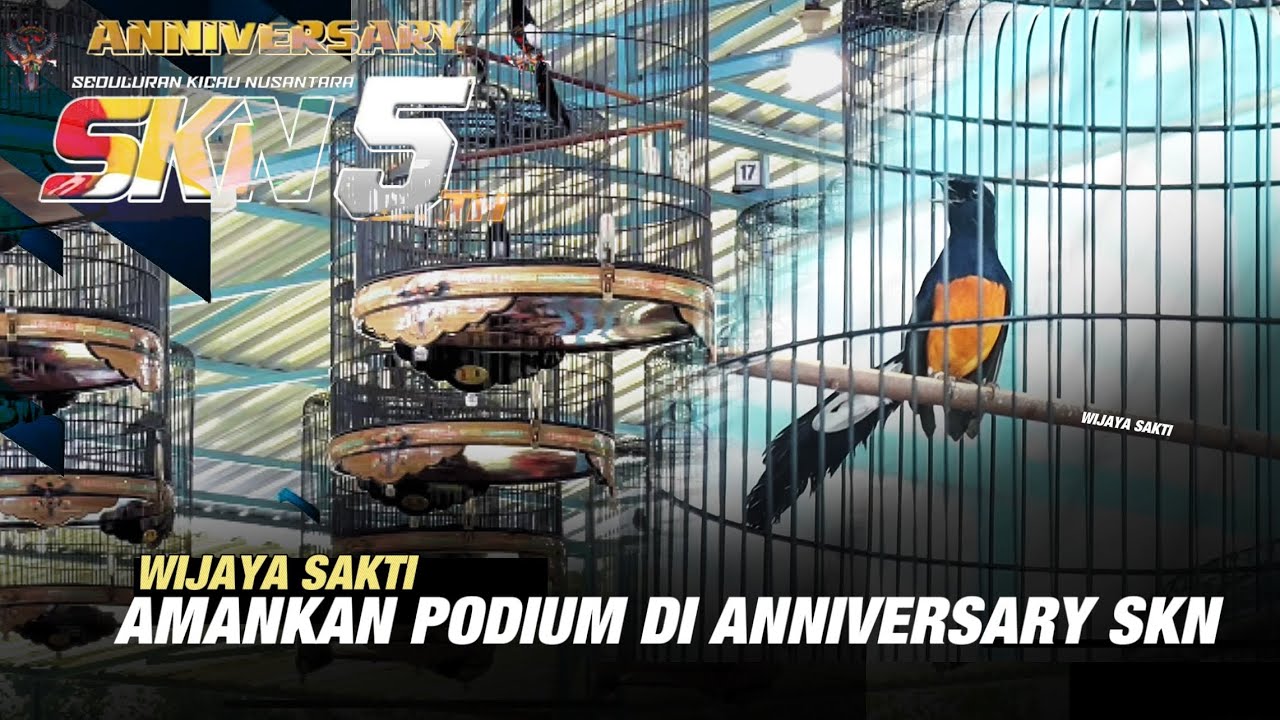 Silaturahmi Ke Anniversary SKN Yang Ke 5 Tahun, JENSINA TEAM Amankan Dua Kali Podium‼️