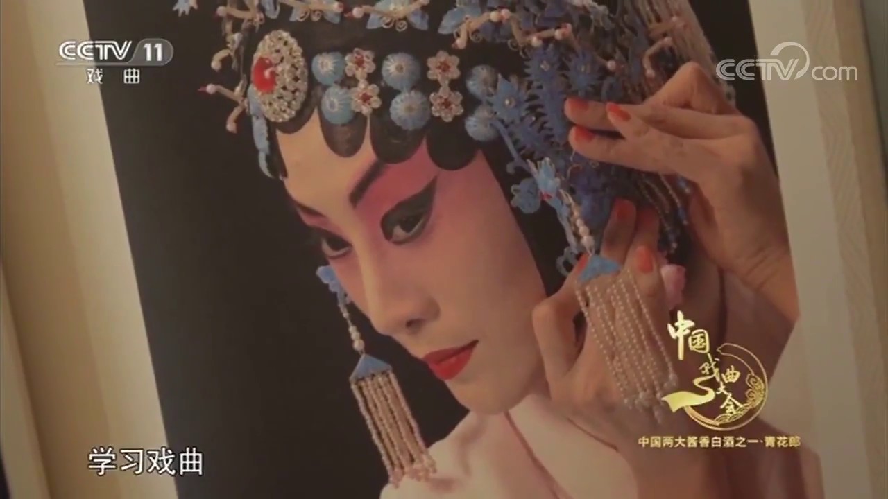 《中国戏曲大会》 20170808