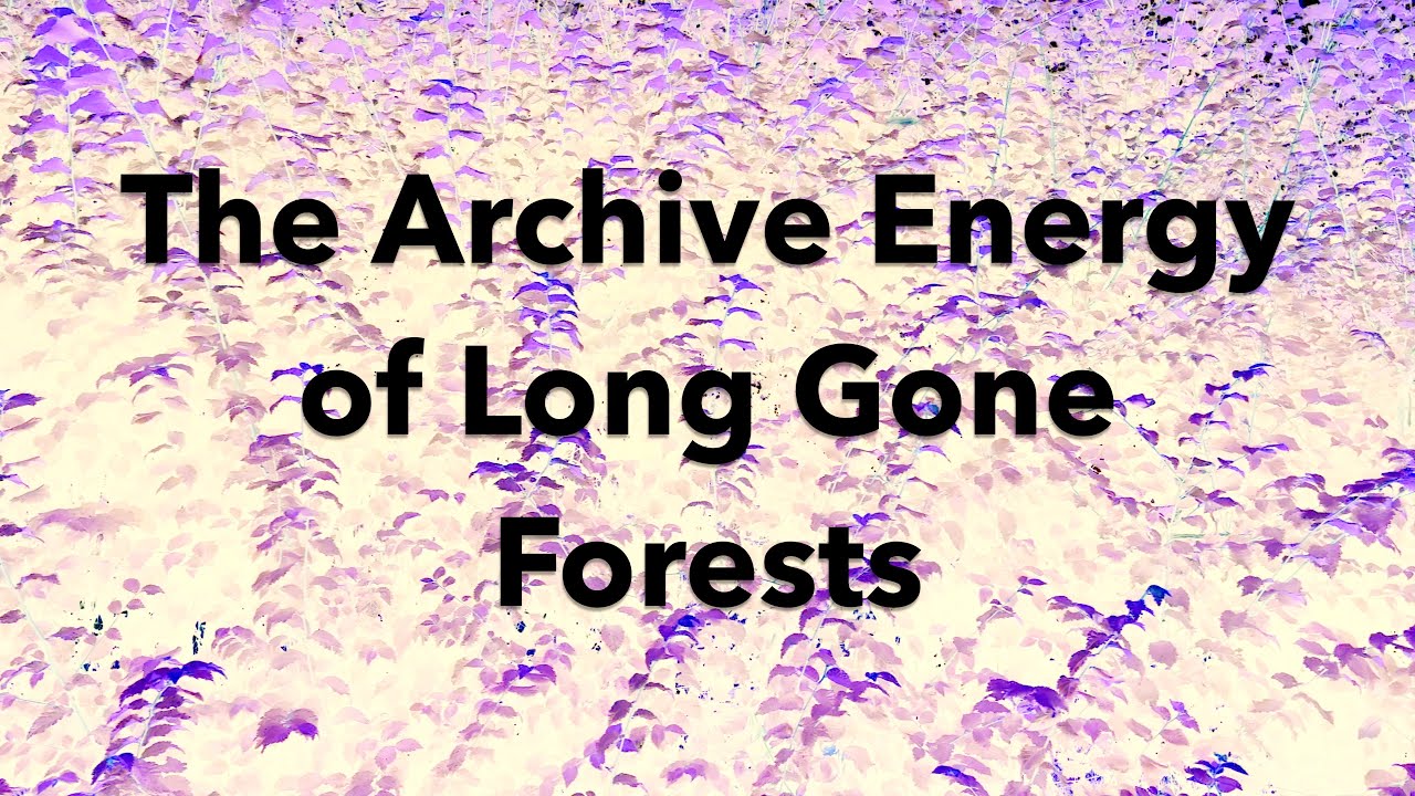The Archive Energy of Long Gone Forests - Laura Cannell from THE VISIBLE LIGHT OF OTHER WORLDS