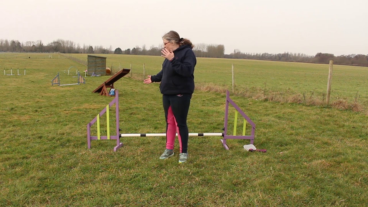 A-Z Agility: Ketschker turns