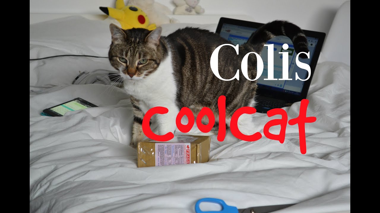 ♥ Ouverture de mon colis CoolCat ♥ Pullip