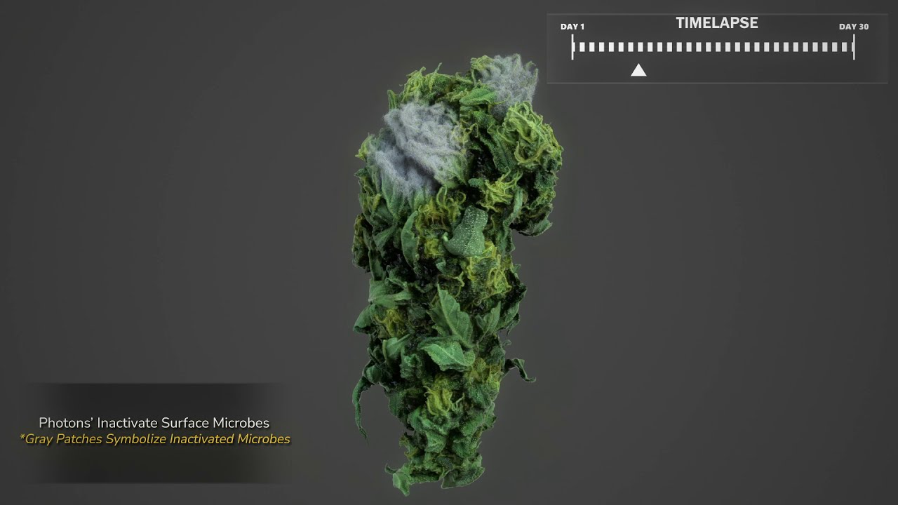 Rad Source - A 3D Animation To Understanding Cannabis Decontamination Technologies