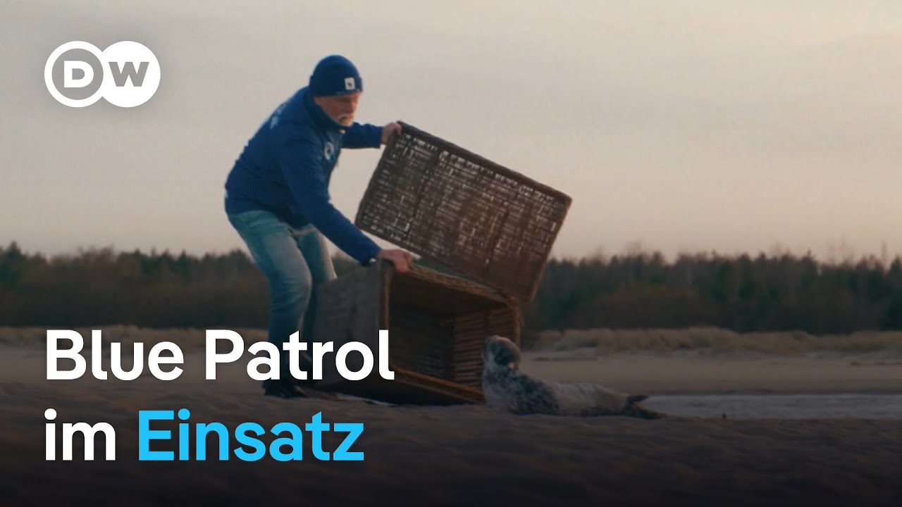 Mit Polens Robbenbaby-Retter im Einsatz&nbsp;| Fokus Europa