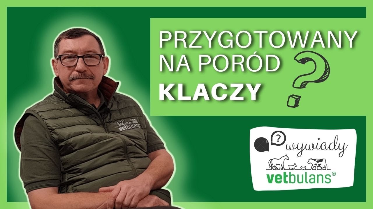 Jak przygotować się do porodu klaczy 🐴❔| Opieka nad źrebięciem 🐎| Rozród koni | lekarz weterynarii