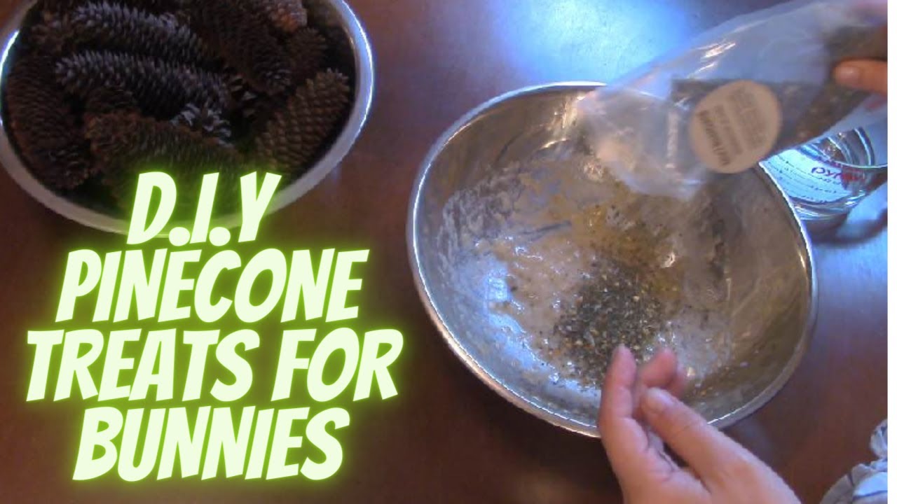 HOW TO MAKE D.I.Y PINECONE TREATS FOR BUNNIES