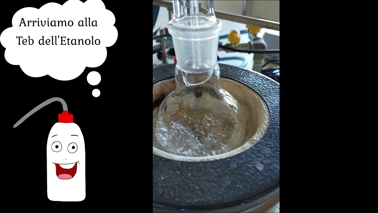 Estrazione limonene con studenti