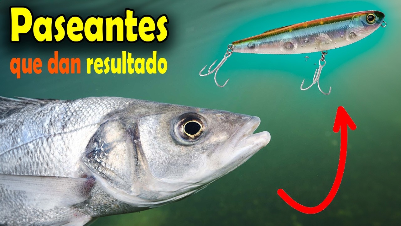 Mis 𝟳 Mejores PASEANTES DE SUPERFICIE de este verano 2024 en la PESCA A SPINNING