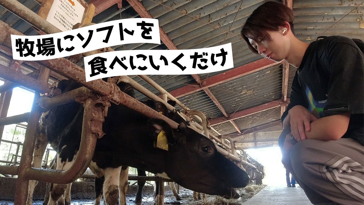 【榎本牧場】暑いので牧場にソフトクリームを買いに行った