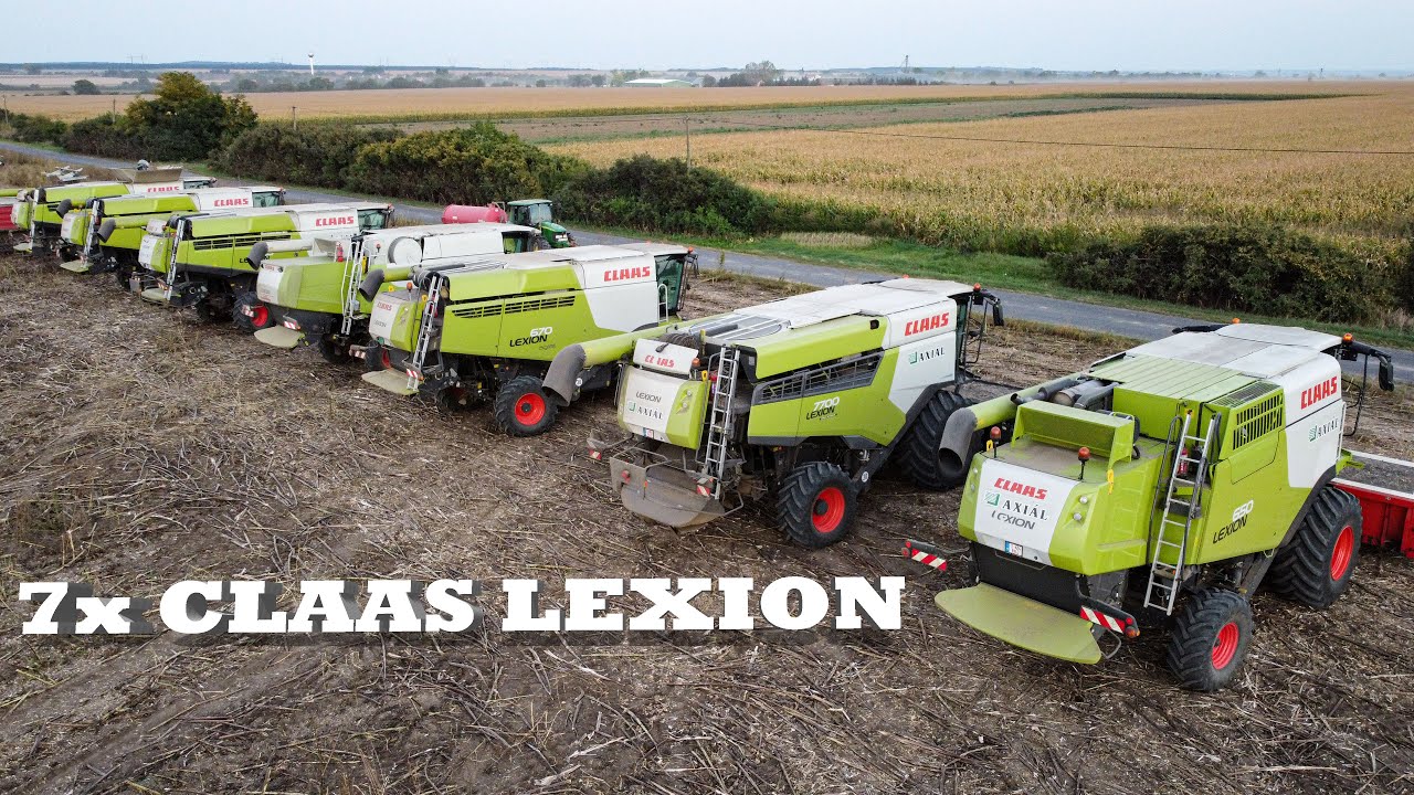 Napraforgó Aratás 2023 7x CLAAS LEXION (Big Sunflower Harvest in Hungary)