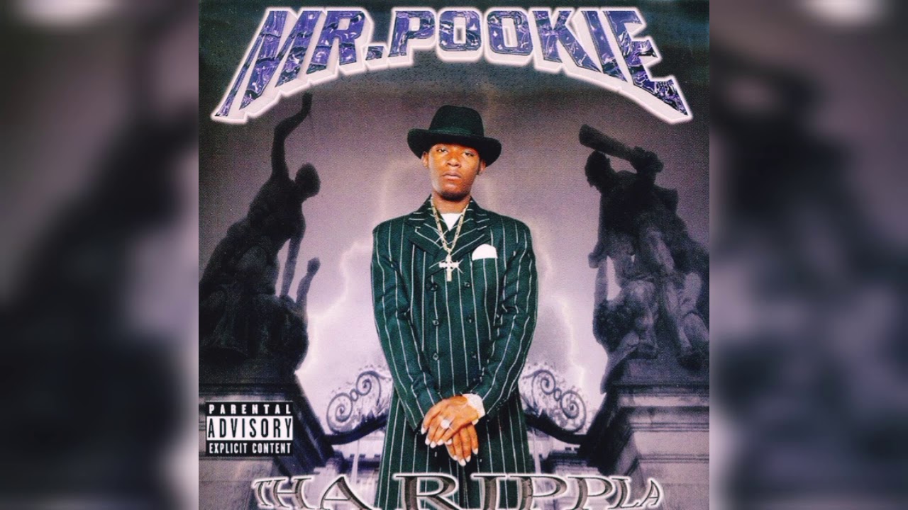Mr. Pookie - 