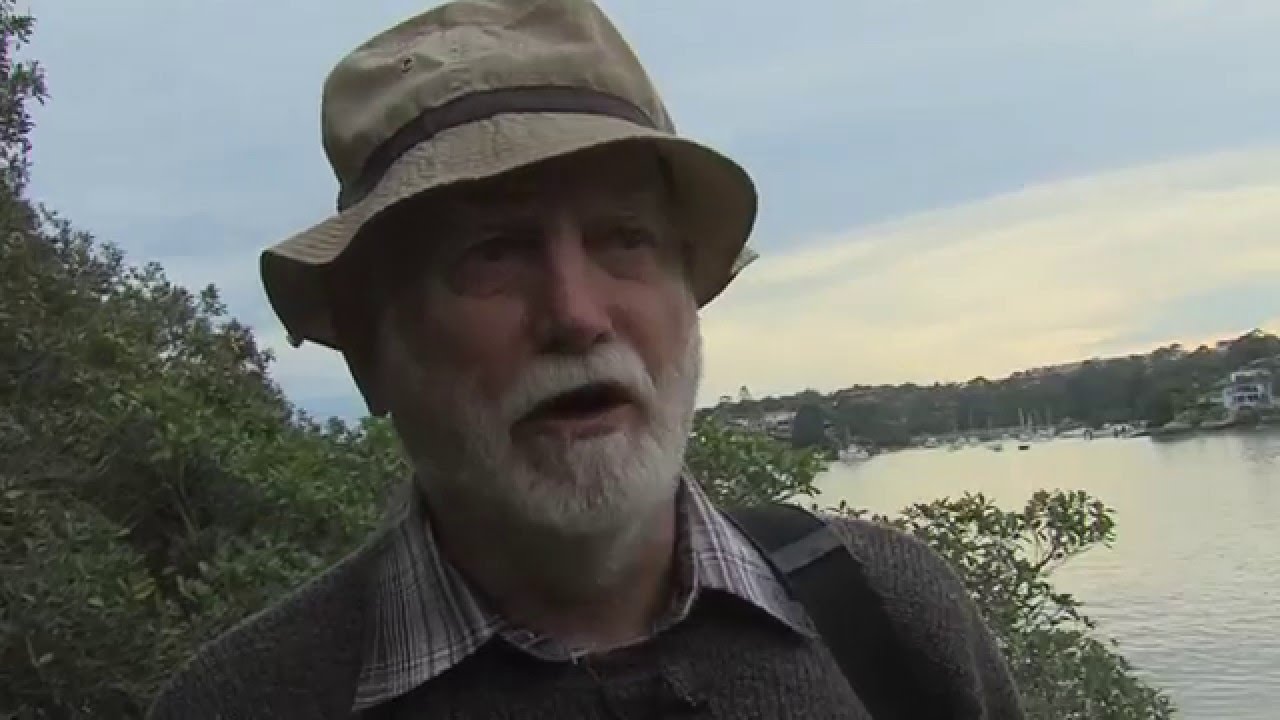 Peter Mitchell, Historian - Parramatta River