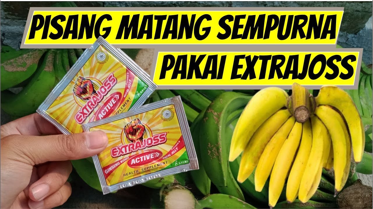 pisang cepat matang tanpa karbit