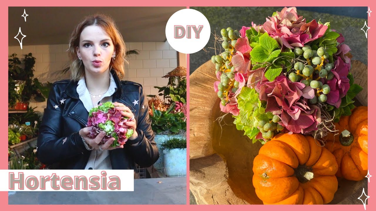 Hoe verwerk je HORTENSIA (Hydrangea) 🍂🍁& Winnaar!  | Cursus bloemschikken # 110 | Carlein Tukkers