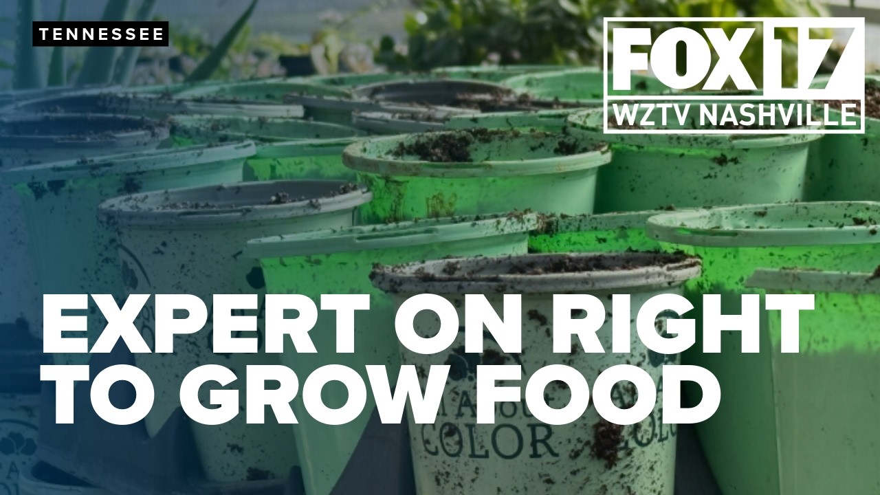 Expert weighs in on Tennessee law pushing for constitutional right to grow food