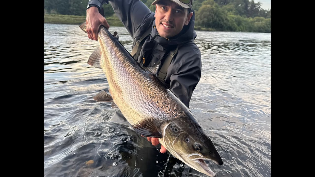 Cumbrian angler lands a monster ! 🎣 