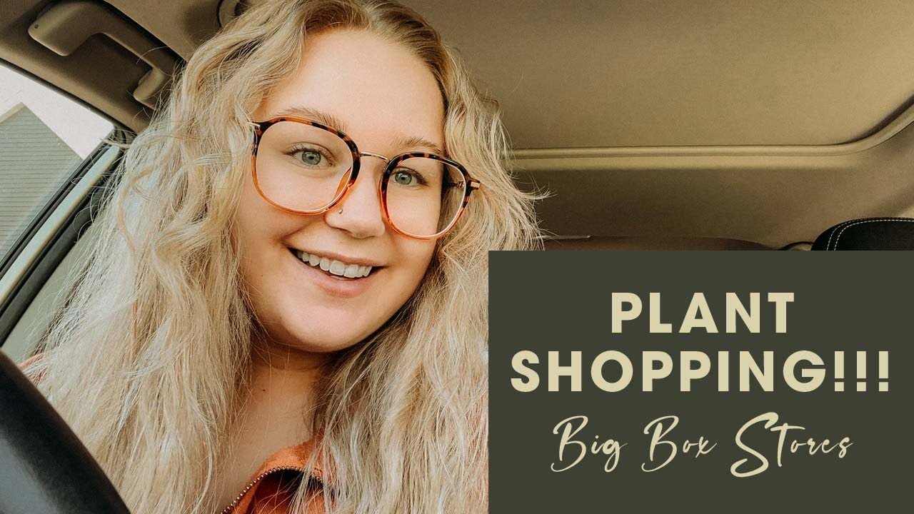 Let's Go Plant Shopping! | Big Box Store Plant Shopping