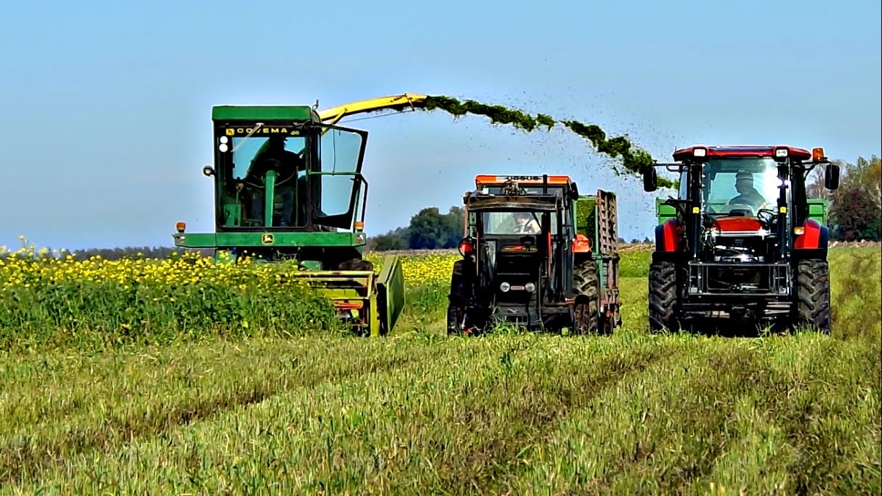 ㋡Poplon na Kiszonkę 2016 ☆ John Deere 5460||Case||Ursus|| Michaloczek 85a☆ Full HD