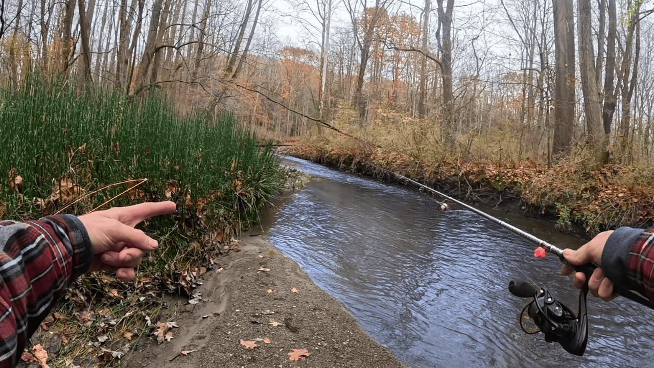 Catching Giant Fish Out Of A Tiny Creek!!! Until Things Went Wrong...