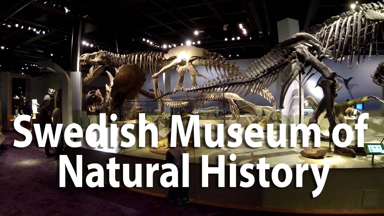 Swedish Museum of Natural History, Stockholm. Zhiyn smooth Q test with gopro3