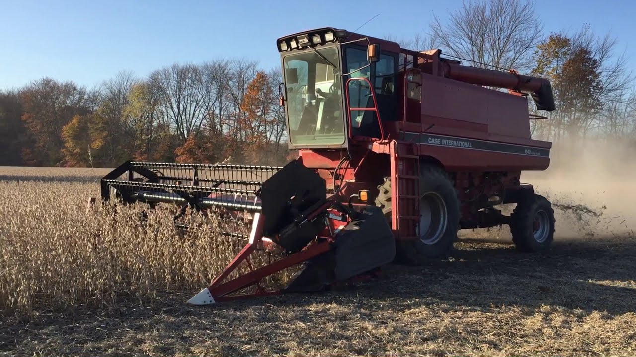 CaseIH 1640 Harvesting soybeans