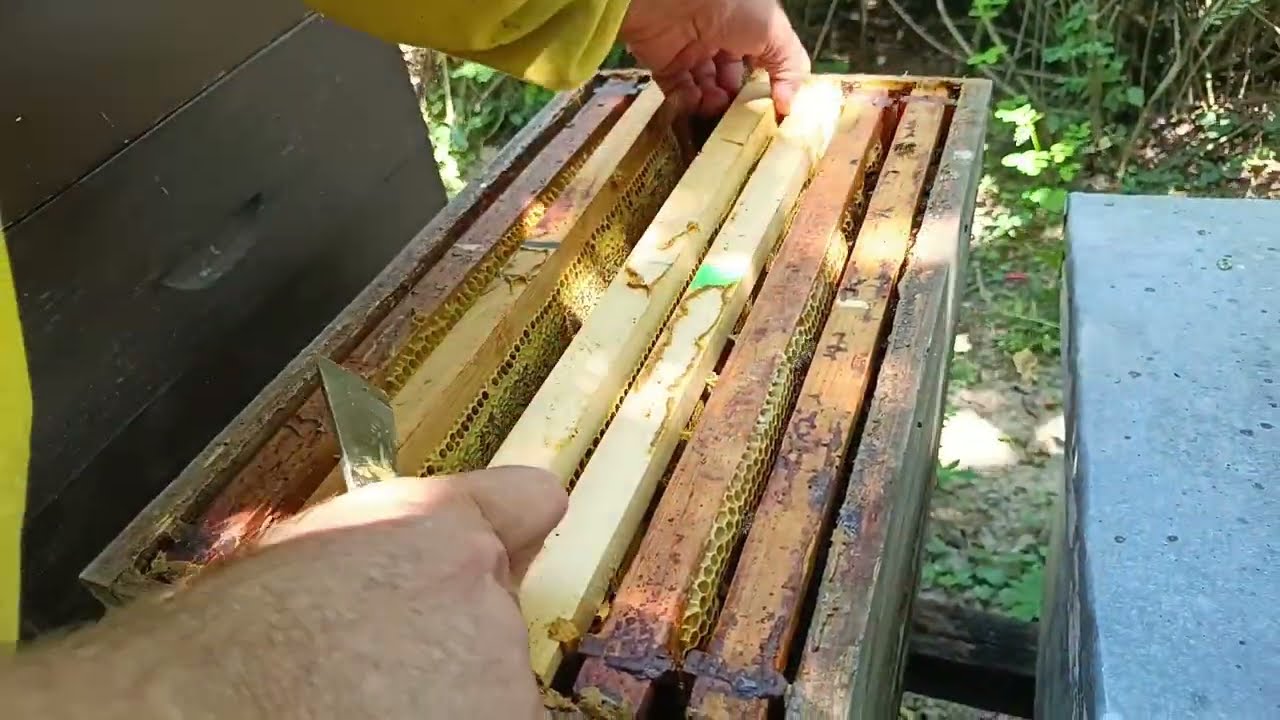 Matična rešetka- kada i zašto (ne) treba