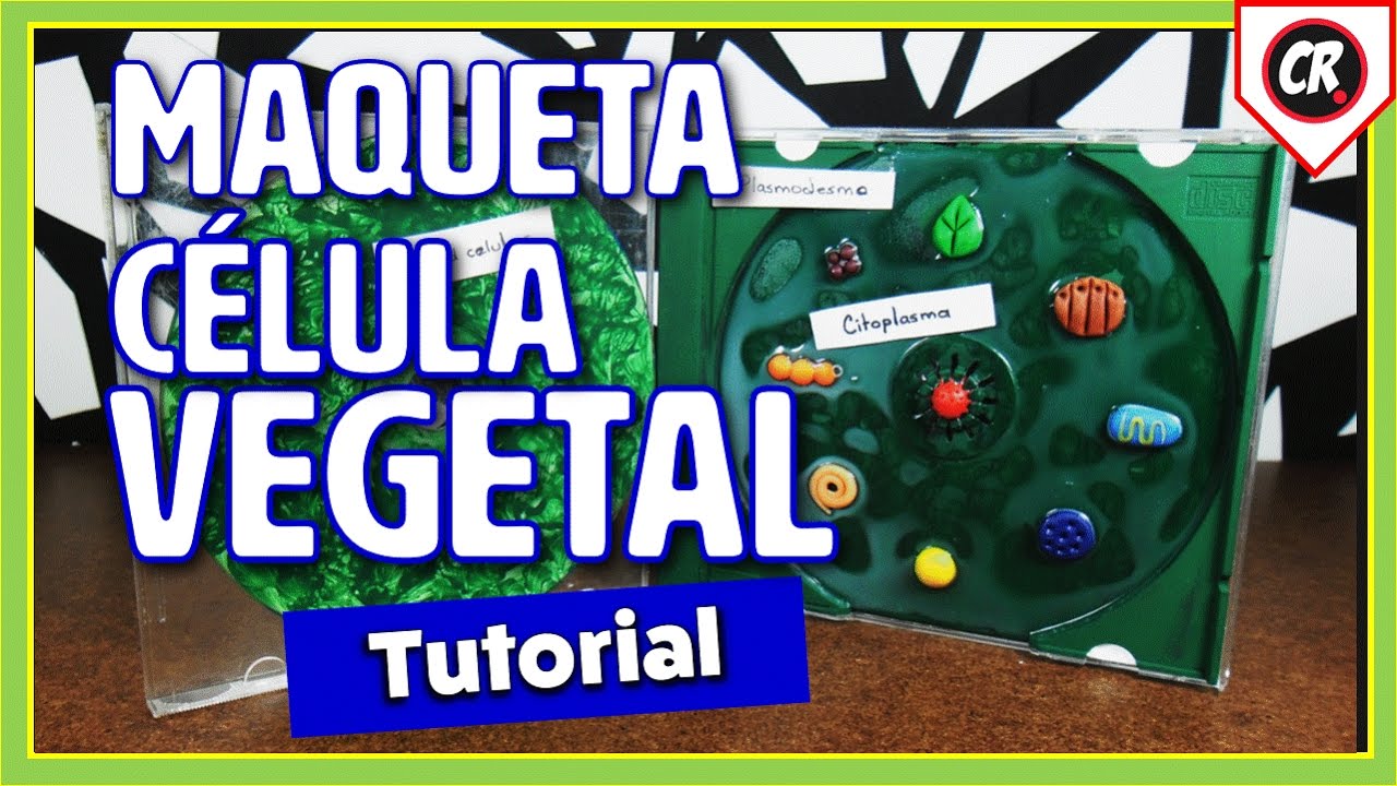 CÓMO HACER UNA CÉLULA VEGETAL | Partes de la célula | Cómo reciclar CDs | Bisutería CDs reciclados
