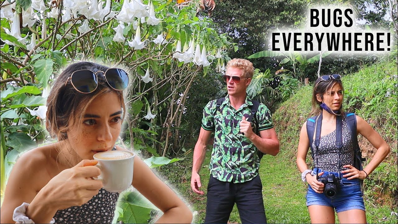 Come Tour a Mexican COFFEE PLANTATION with Us! We were NOT expecting this!!!