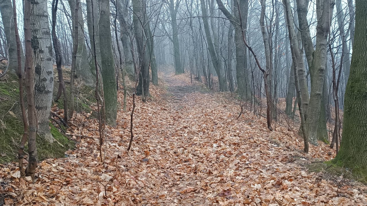 klasyczna przerwa Motoklasyczny nadaje na żywo