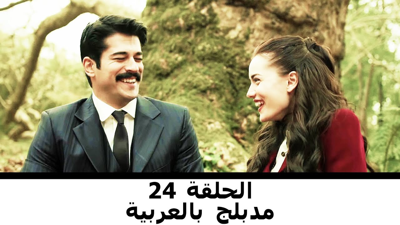 مدبلج بالعربية الحلقة 24 | طائر النمنمة