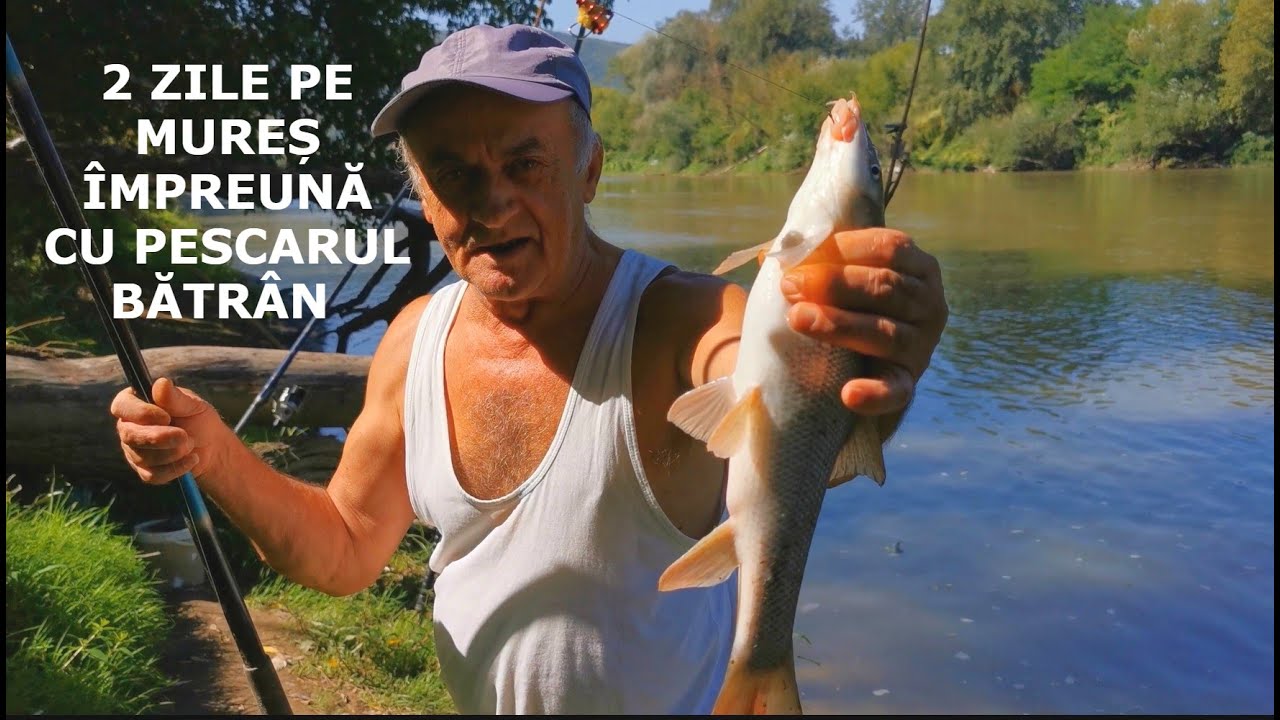 2 Zile La Pescuit cu BĂTRÂNUL Pescar DOREL pe MUREȘ - Pescuit la AMUR, MREANĂ, CARAS