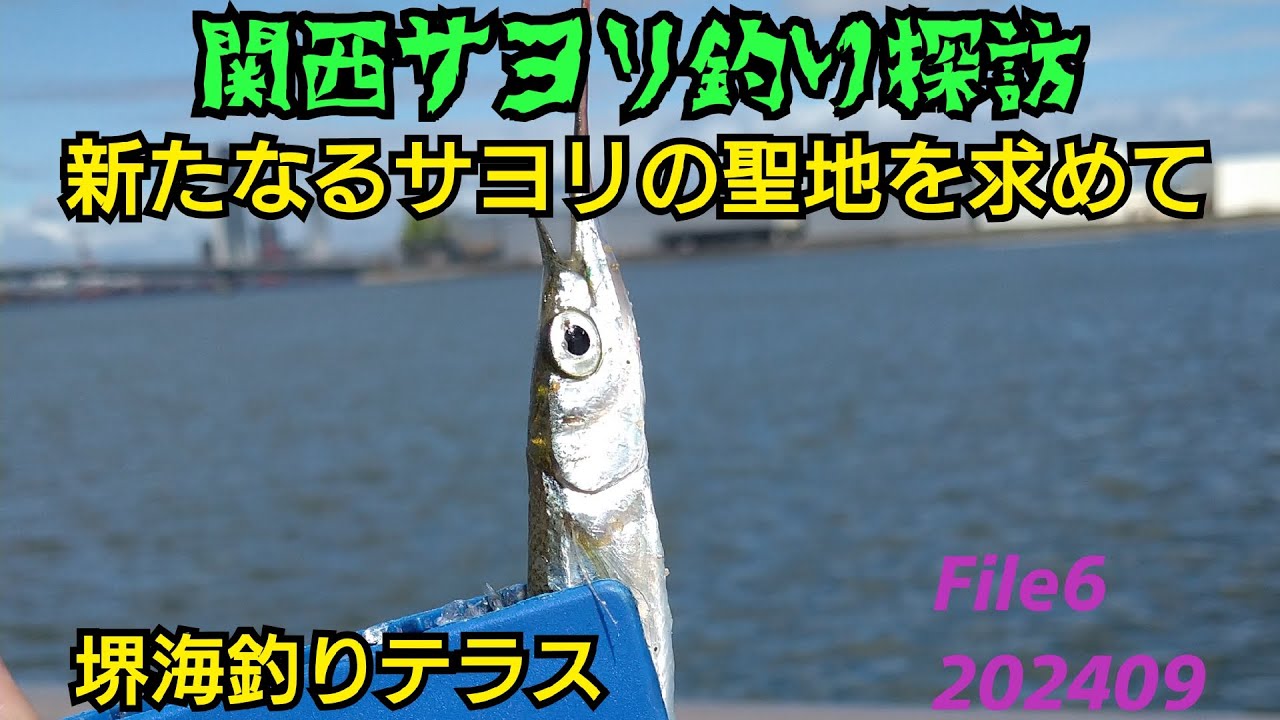 関西サヨリ釣り探訪 File６堺海釣りテラス 新たなるサヨリの聖地を求めて202409