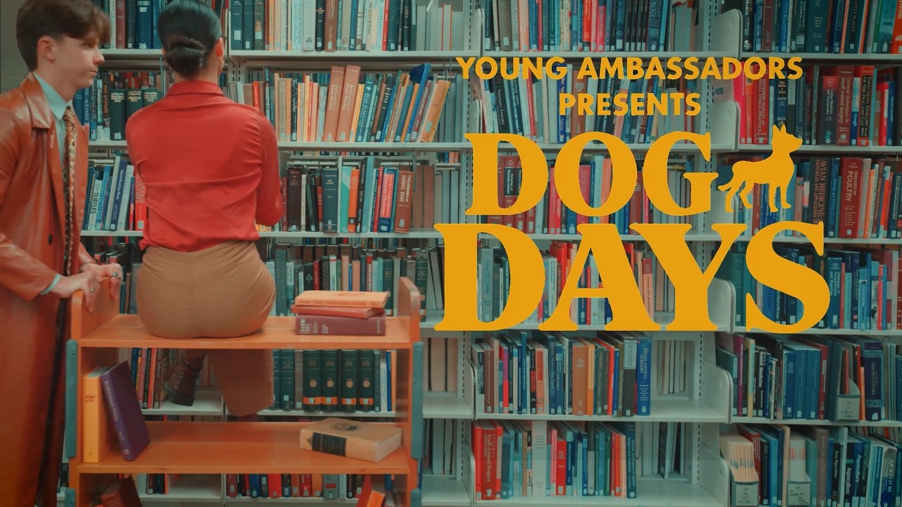 Dog Days | BYU Young Ambassadors (The Dog Days Are Over/Feel Again Medley)