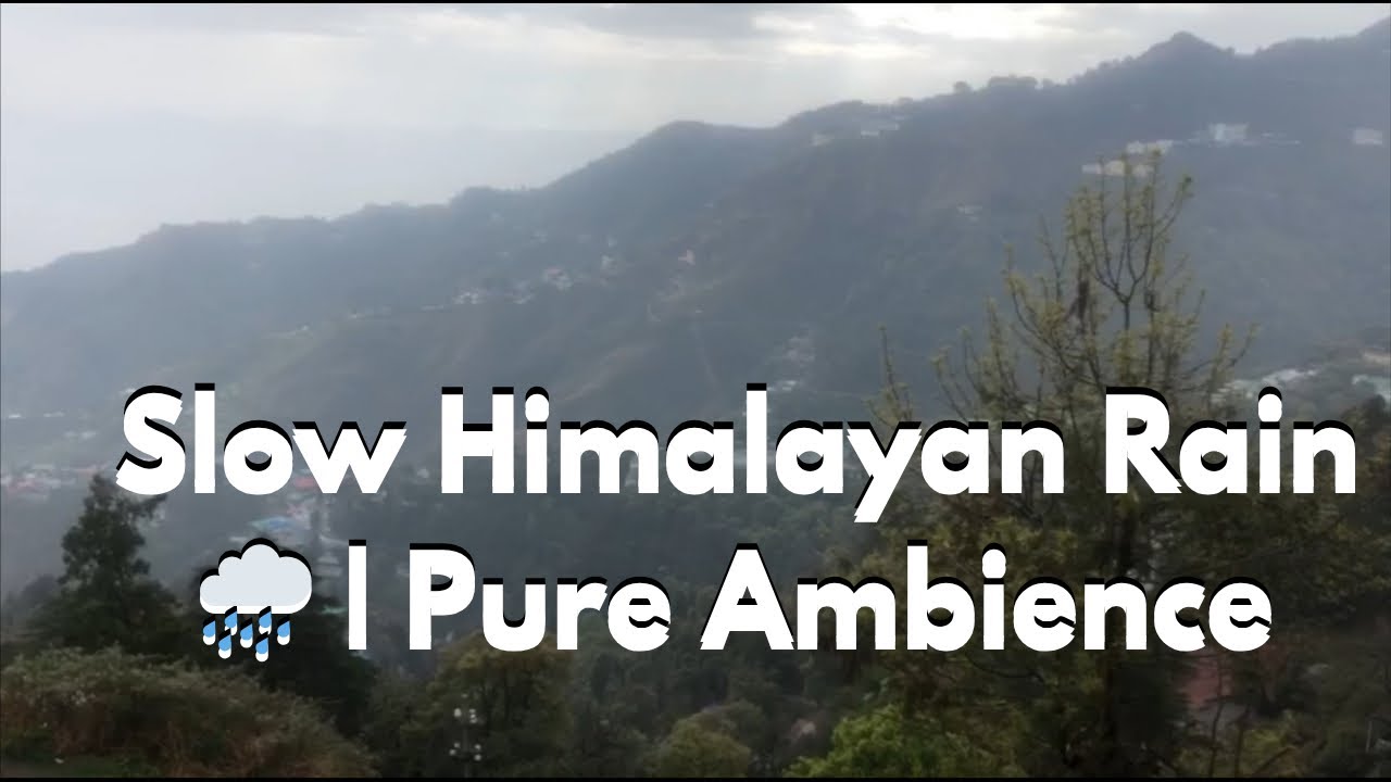 Gentle Himalayan Rain 🌧️ | Pure Nature Sounds | Sleep & Relaxation Ambience