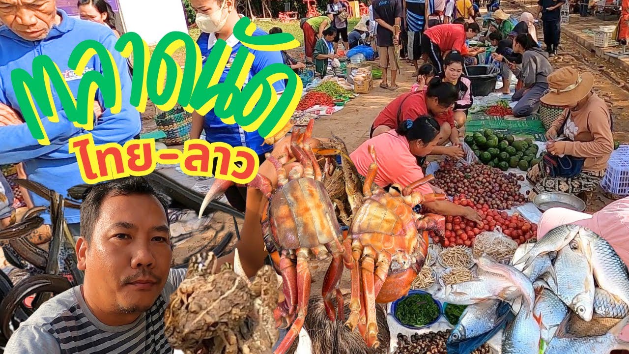 ตลาดนัดไทย-ลาว บ้านหนาด จ.นครพนม  กบ เขียด ปูแดง ของป่าแนวแซ่บ
