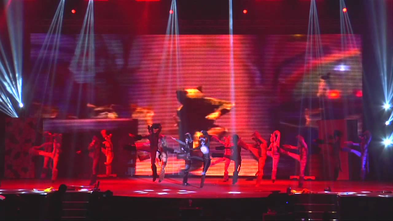 Puss in Boots Live Spectacular: 
